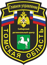 Tomsk Region Office of Emergency Situations, sleeve insignia - vector image