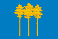 Dimitrovgrad (Ulyanovsk oblast), flag - vector image