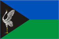 Borzya rayon (Zabaikalsky krai), flag