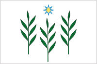 Vector clipart: Ivnyaki (Yaroslavl oblast), flag