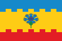Чертаново Южное (Москва), флаг - векторное изображение