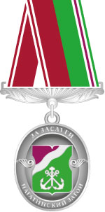 nzaton merit badge r77