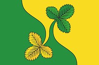 Флаг муниципального округа Восточное Дегунино