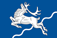 Severnyi (St. Petersburg), flag