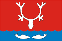 Naryan-Mar (Nenetsia), flag - vector image