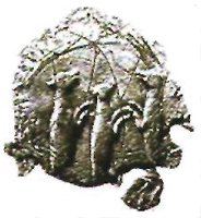 surgut seal 1731