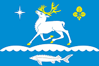 Antipayuta (Yamal Nenetsia), flag - vector image