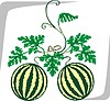 Vector clipart: watermelon