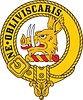Campbell clan crest badge