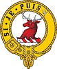 Colquhoun clan crest badge