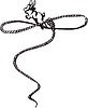 Vector clipart: lasso