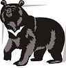 Vector clipart: bear