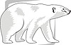 Векторный клипарт: белый медведь