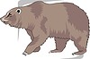 Vector clipart: bear