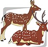 Vector clipart: deers