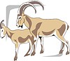 Vector clipart: Caucasians goats