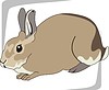 Vector clipart: hare