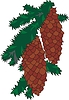 Vector clipart: branch with pine cones