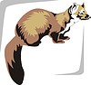 Vector clipart: marten