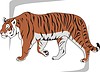 Vector clipart: tiger