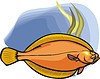 Vector clipart: halibut