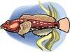 Vector clipart: goby