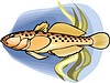 Vector clipart: goby