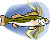 Vector clipart: fish