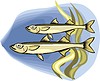 Vector clipart: fish