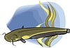 Vector clipart: sheat-fish