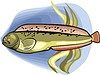 Vector clipart: eelpout