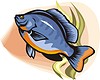 Vector clipart: fish