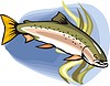 Vector clipart: loach