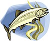 Vector clipart: fish