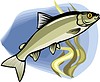 Vector clipart: fish