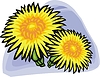 Vector clipart: yellow chrysanthemum