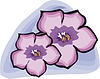 Vector clipart: pansy