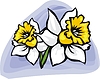 Vector clipart: narcissuses