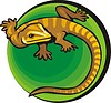 Vector clipart: lizard