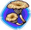 Vector clipart: mushroom