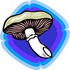 Vector clipart: mushroom