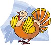 Vector clipart: turkey