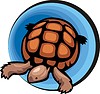 Vector clipart: turtle