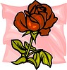 red rose