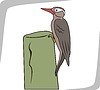 Vector clipart: woodpecker on stump