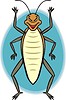 cockroach