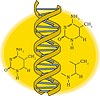 Vector clipart: DNA