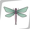 dragonfly