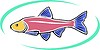 Vector clipart: aquarium fish