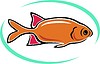 Vector clipart: aquarium fish